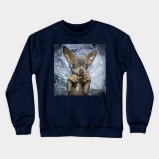 Cheeky Chihuahua Funny Face art design Crewneck Sweatshirt